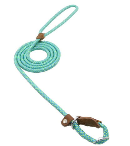 Nylon Pup Set by Endo33 Markets