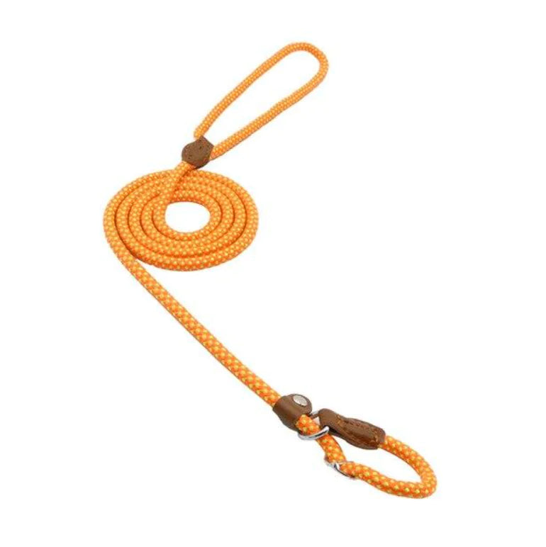 Nylon Pup Set by Endo33 Markets