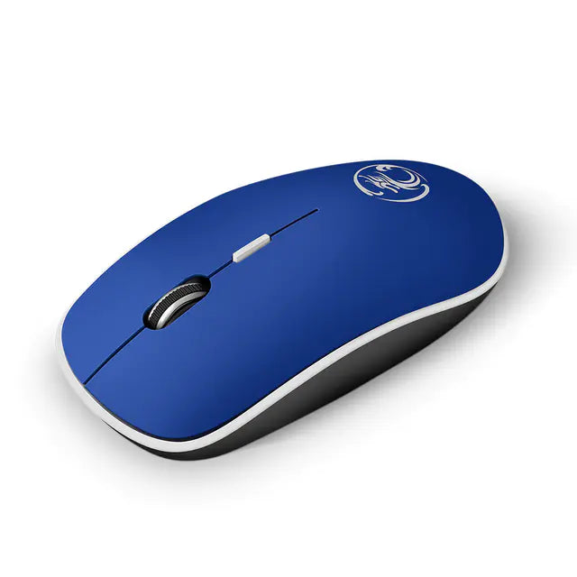 Wireless Ergonomic Optical Mouse for PC and Mac