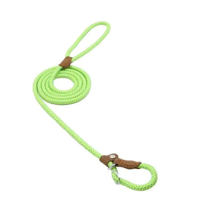 Nylon Pup Set by Endo33 Markets